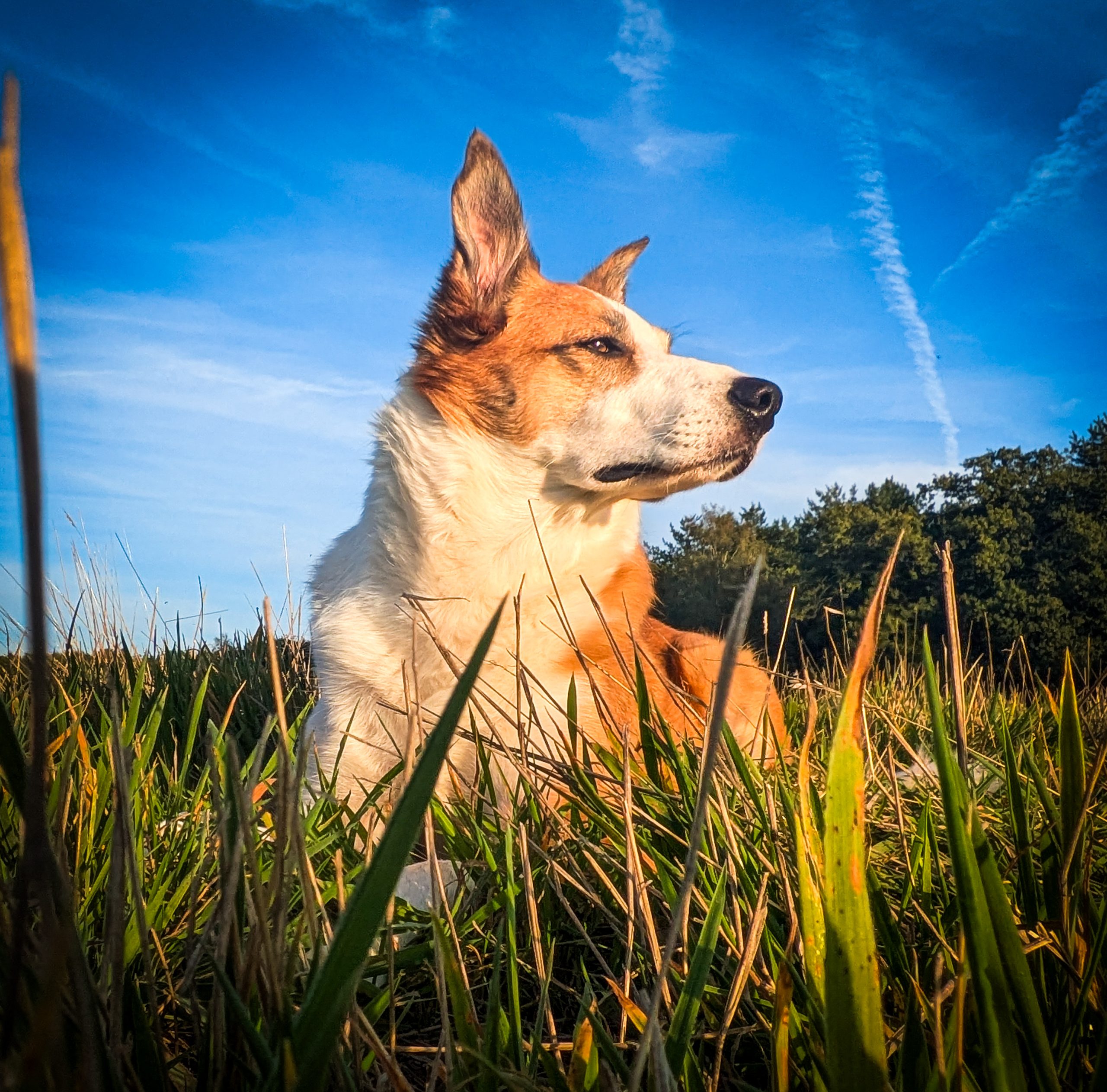 PXL_20250906_173430738.MP (1)